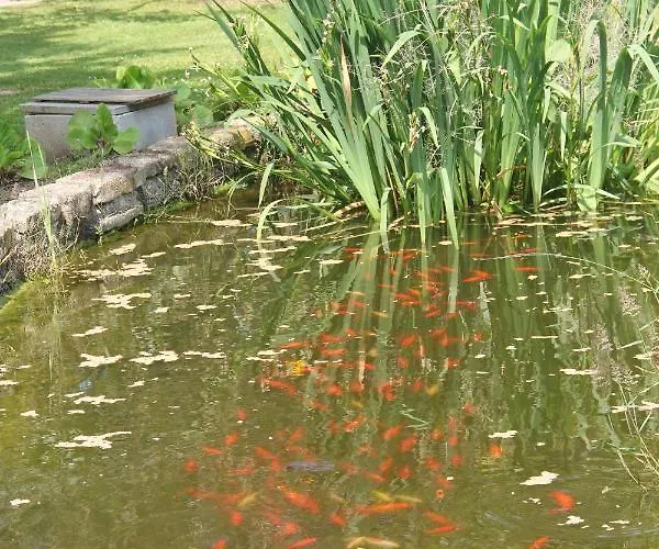 Logis Du Grand Pin *